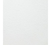 Потолочные плиты Armstrong Bioguard Acoustic 600x600x17мм., board